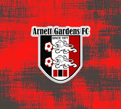 Arnett Gardens FC